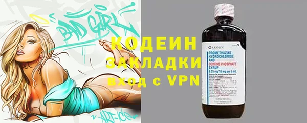 гашик Алексин