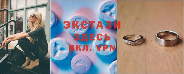 гашик Алексин