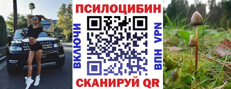 Псилоцибиновые грибы Psilocybine cubensis Могоча