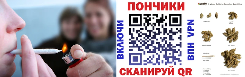 Бошки Шишки план  Могоча 